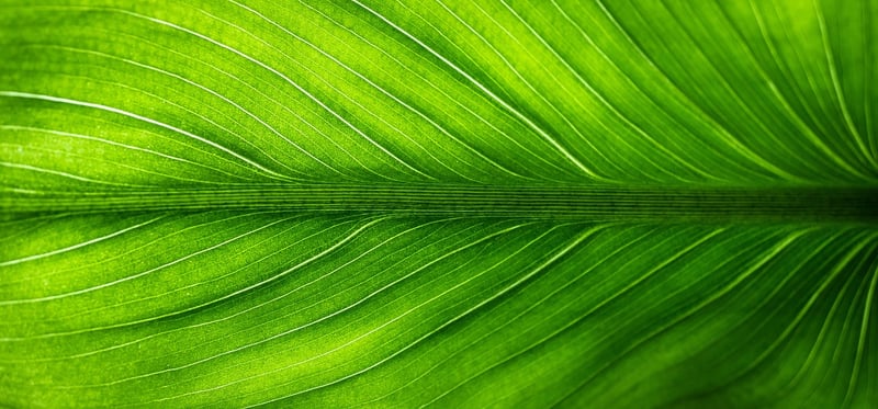 Eco-friendly creativity