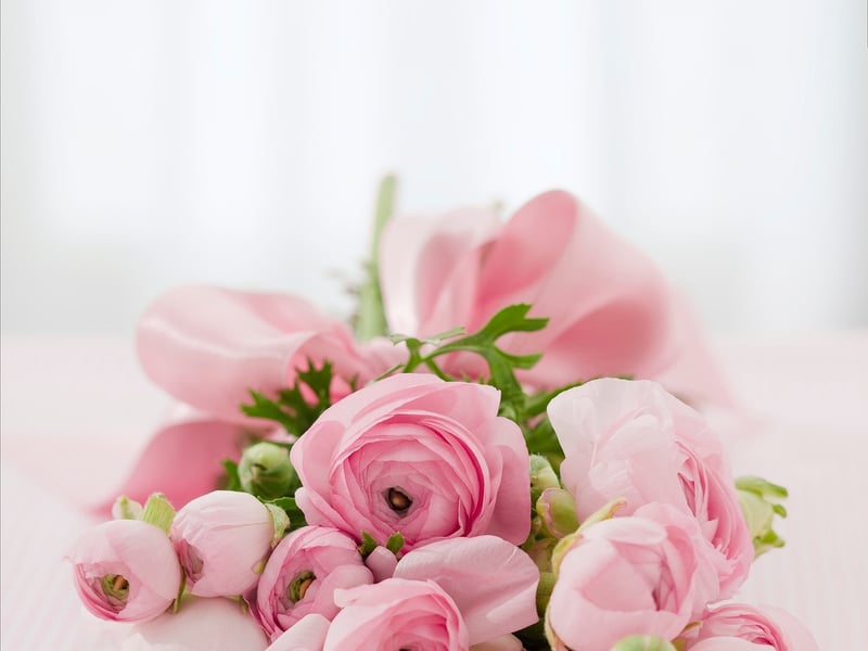 Nature-inspired Decor